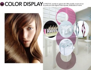 SCHWARZKOPF-PROFESSIONAL-COLOR-DISPLAY-2-KATELO