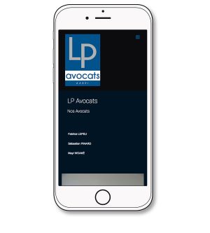 lp_avocats_cabinet_paris_katelo_04