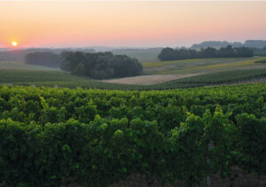 012-WEB-FR-9fev2023-BROCHURE-PROF-2022-CdG-(L148xH210mm)-23