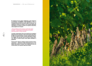 012-WEB-FR-9fev2023-BROCHURE-PROF-2022-CdG-(L148xH210mm)-6