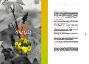 012-WEB-FR-9fev2023-BROCHURE-PROF-2022-CdG-(L148xH210mm)-8