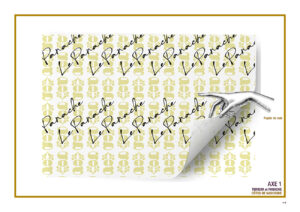 07-ccPRESENTATION-visuel-cote-de-gascogne6